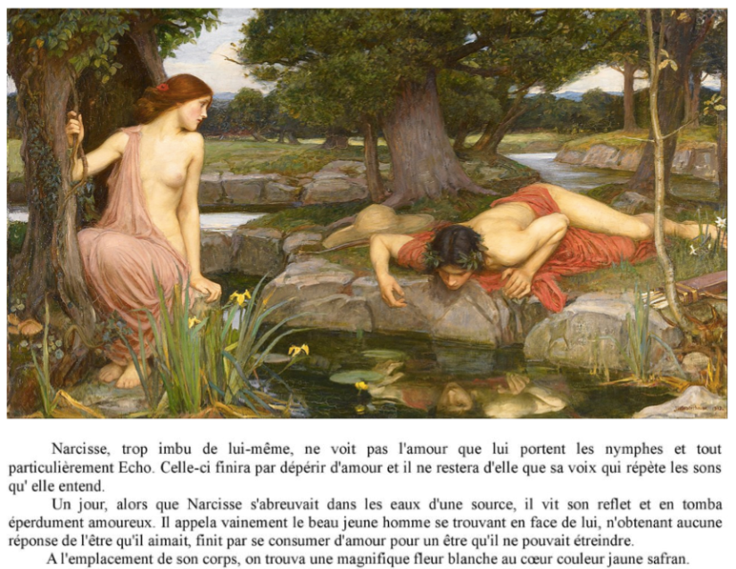 Narcisse mythe
